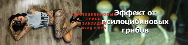 дмт Горняк