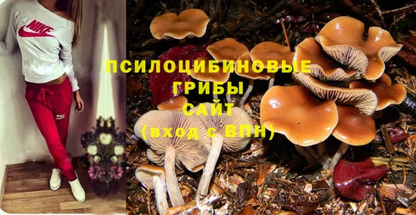 прущие грибы Алексеевка