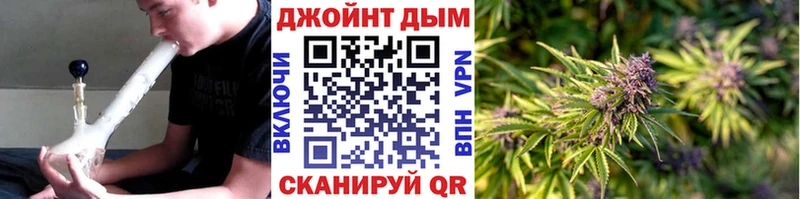 наркотики  Козловка  Шишки марихуана семена 